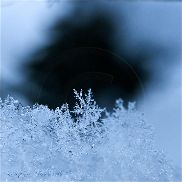 The true story behind the snowflake uniqueness